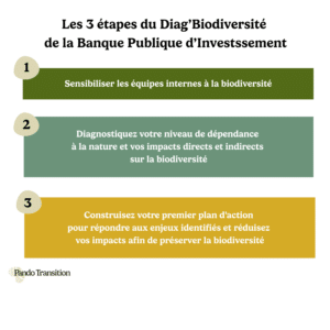 Les 3 étapes du Diag'Biodiversité de la BPI