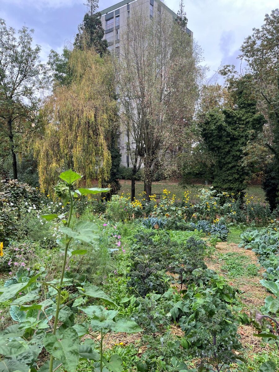 Intégrer l’agriculture urbaine dans les Quartiers Prioritaires de la Ville (QPV) - 4