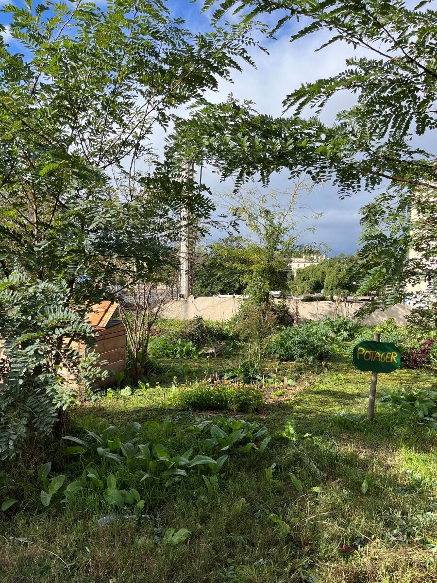 Intégrer l’agriculture urbaine dans les Quartiers Prioritaires de la Ville (QPV) - 2