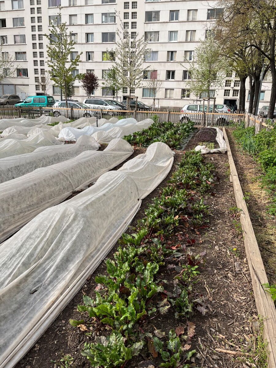 Intégrer l’agriculture urbaine dans les Quartiers Prioritaires de la Ville (QPV) - 3