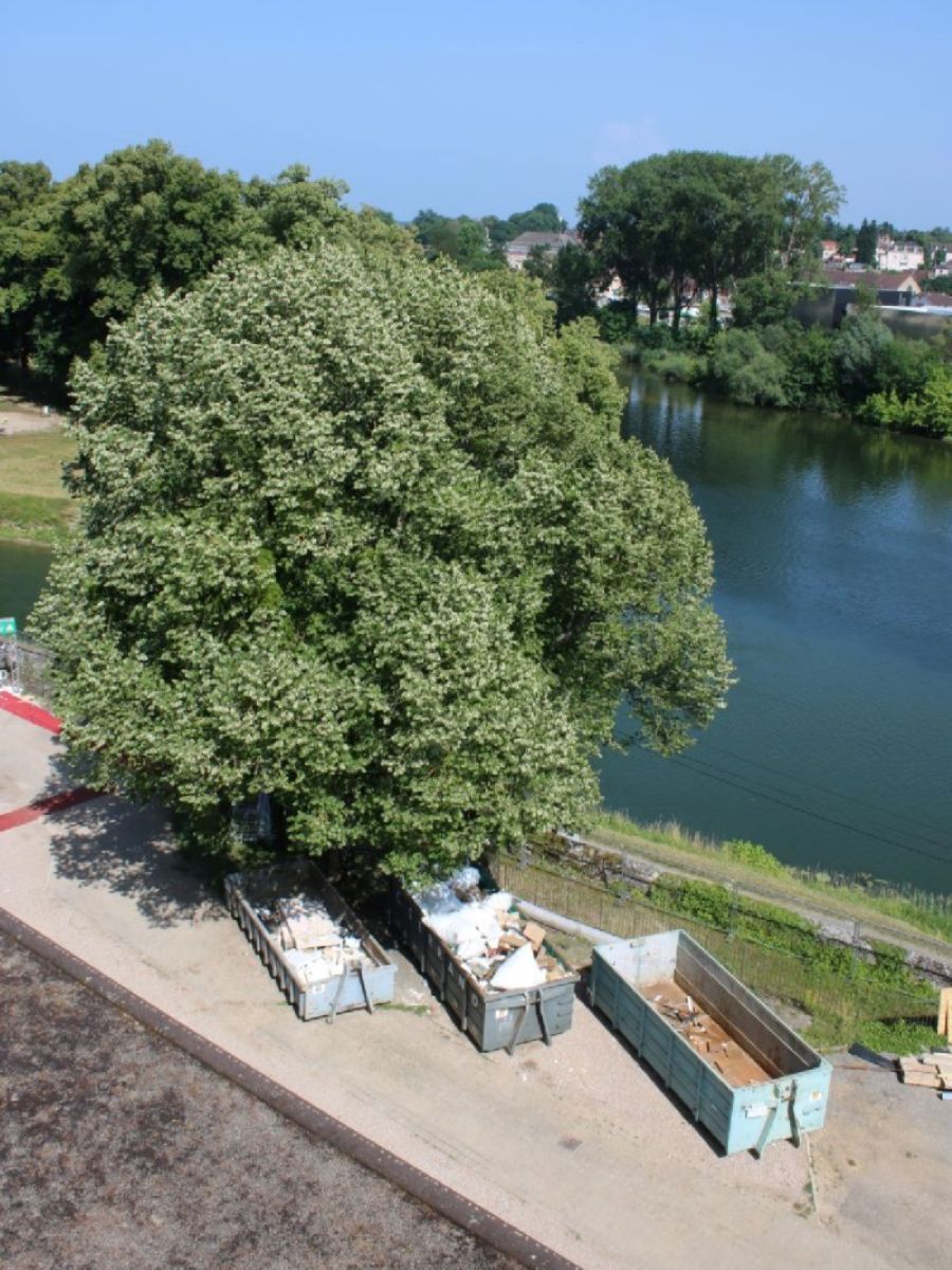 Réhabiliter en préservant la biodiversité - 1