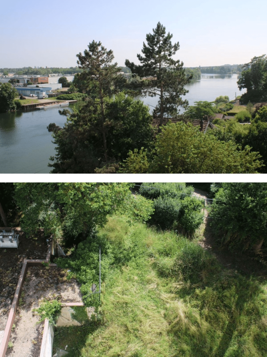 Réhabiliter en préservant la biodiversité - 2