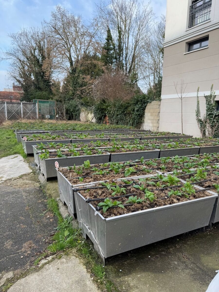 Intégrer des projets d’agriculture urbaine sur le territoire d’Est Ensemble - 2