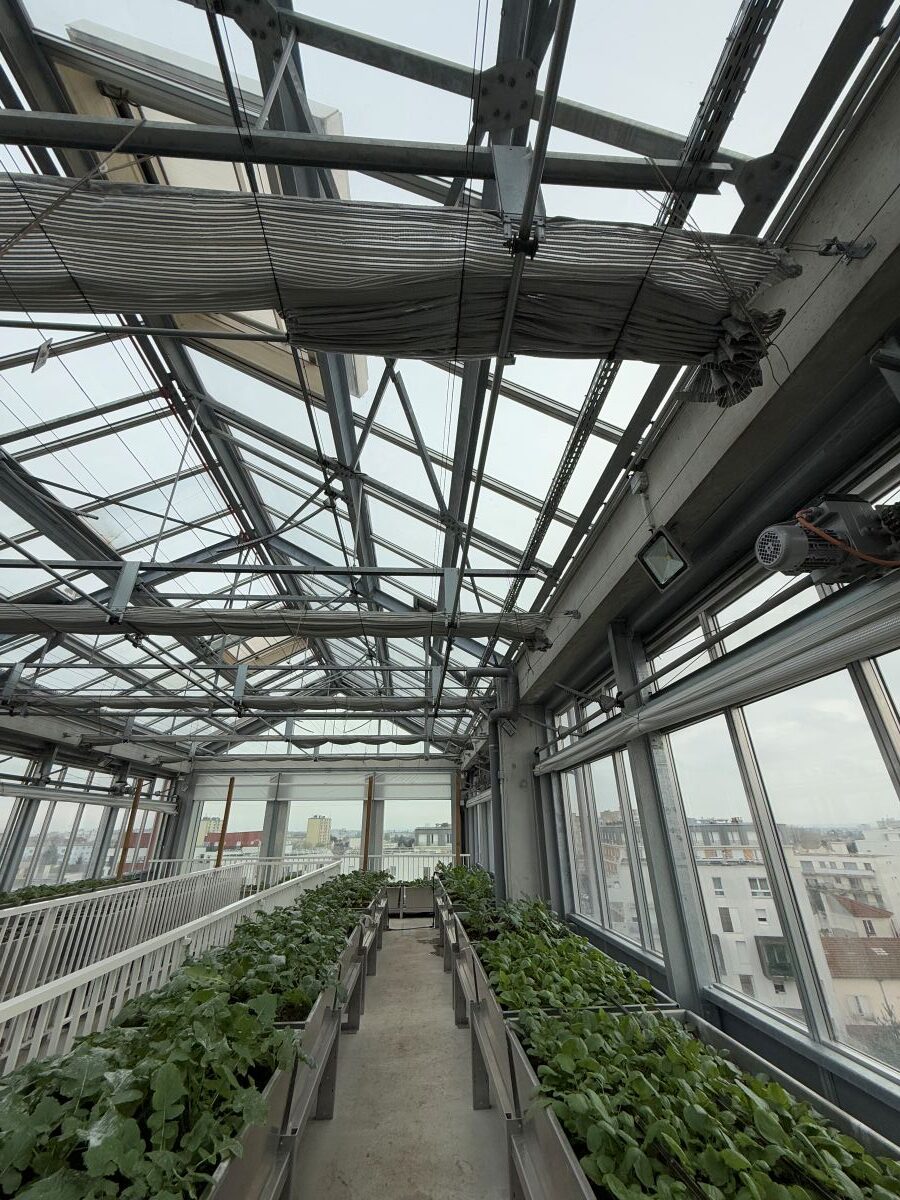 Intégrer des projets d’agriculture urbaine sur le territoire d’Est Ensemble - 1