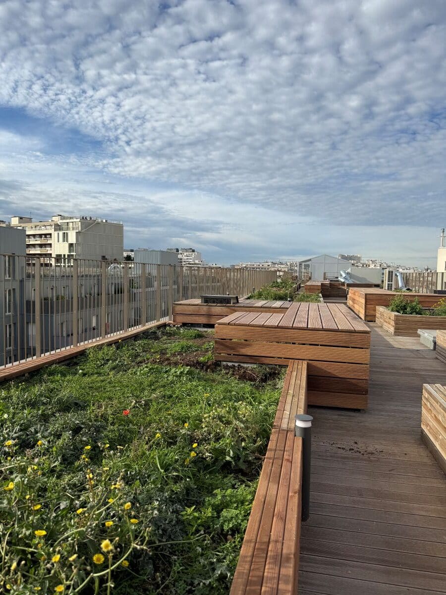 Un potager pour des chefs sur les toits de Paris - 1