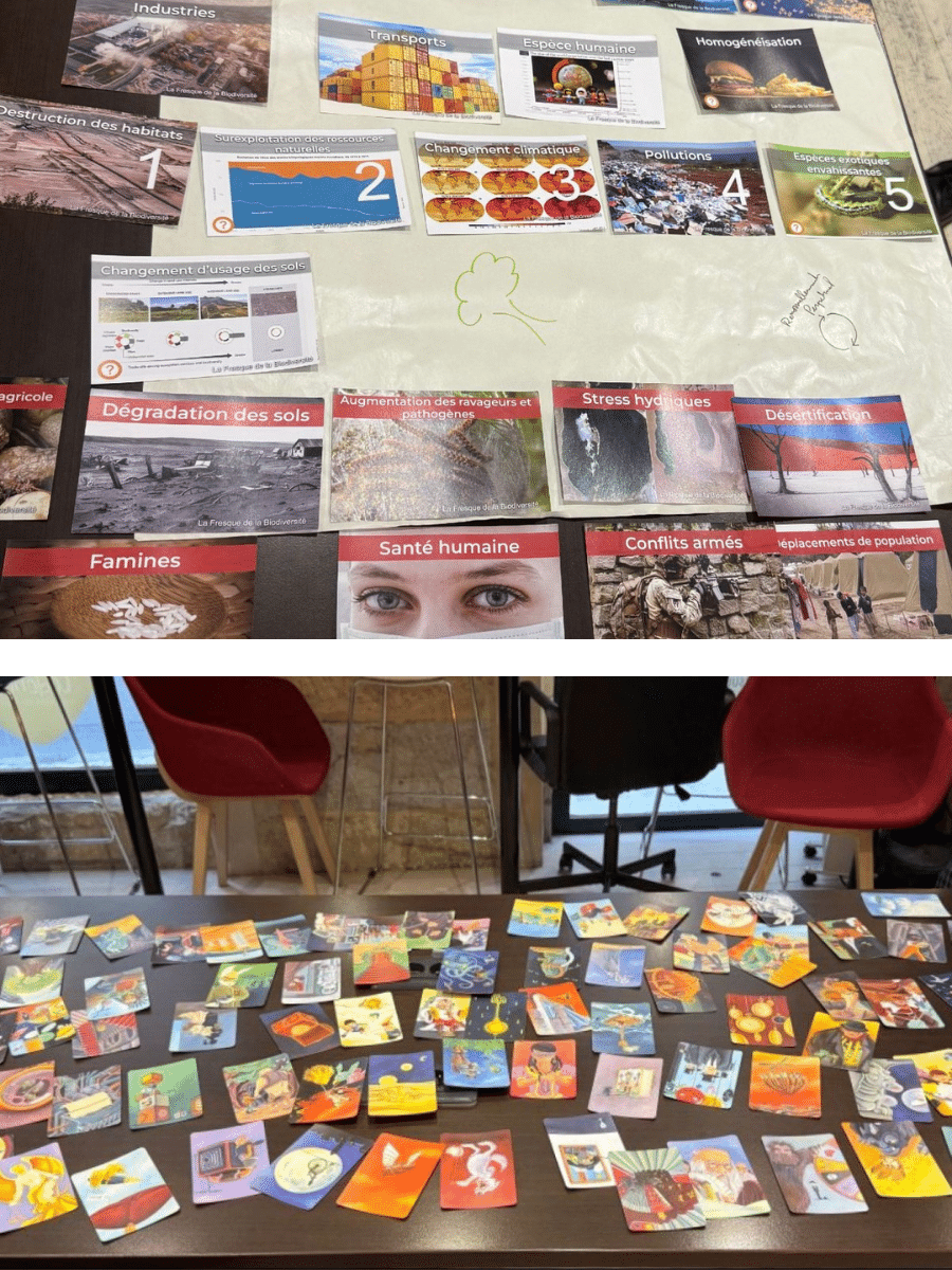 Fresque de la biodiversité : sensibiliser les partenaires d’un Coworking dijonnais - 3