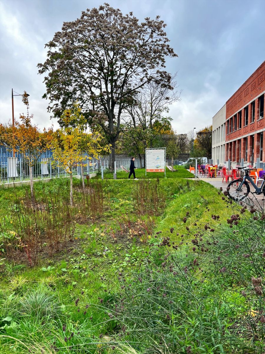 Vers la résilience écologique du patrimoine de la RIVP - 5