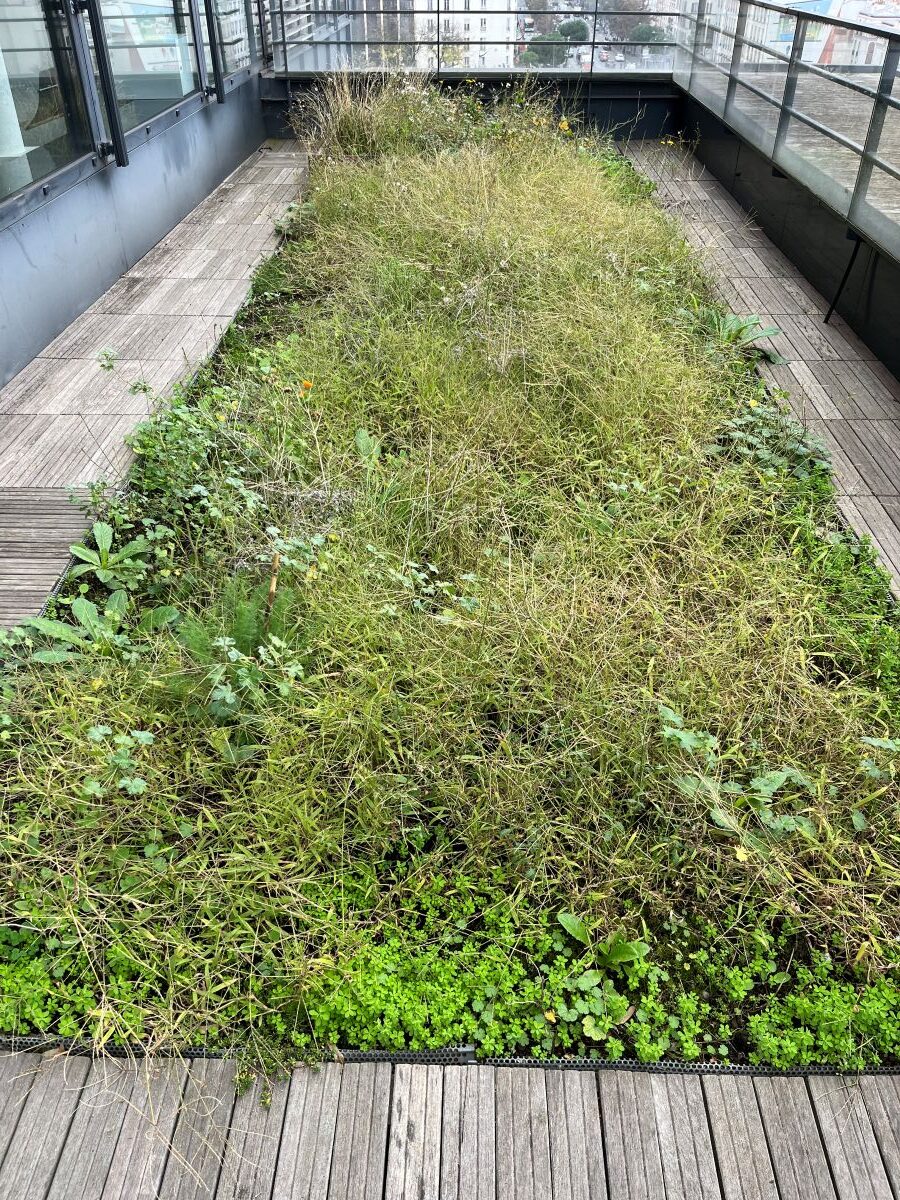 Vers la résilience écologique du patrimoine de la RIVP - 4