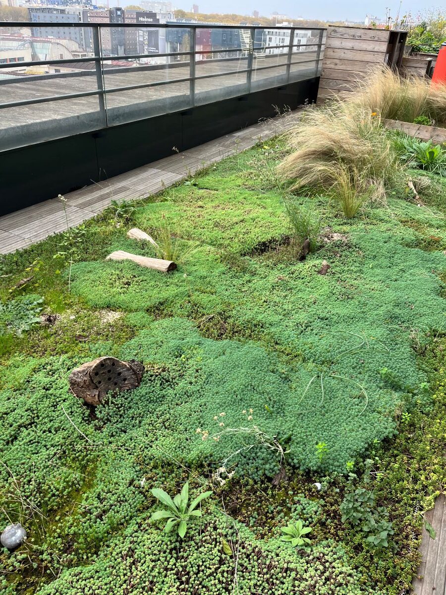 Vers la résilience écologique du patrimoine de la RIVP - 2