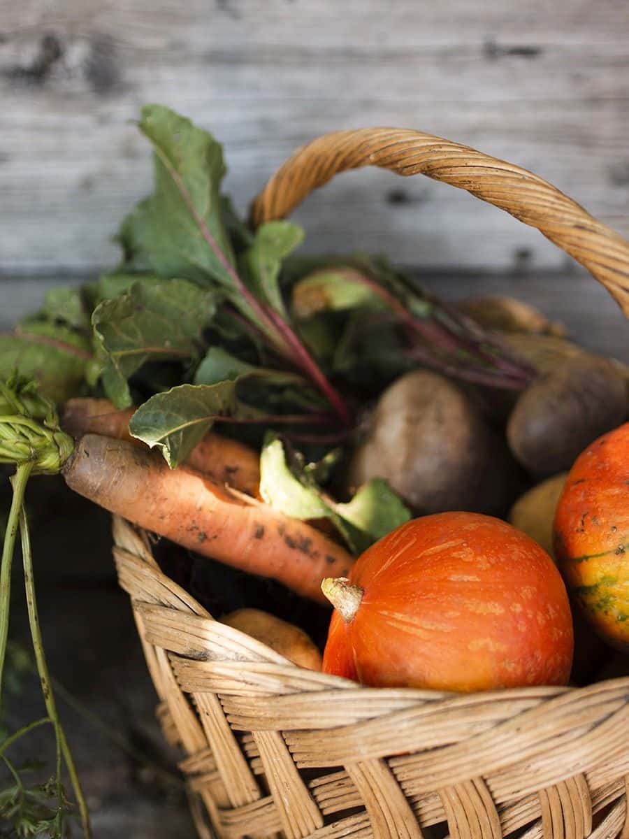 Valoriser des denrées alimentaires par un circuit de micro-transformation - 2