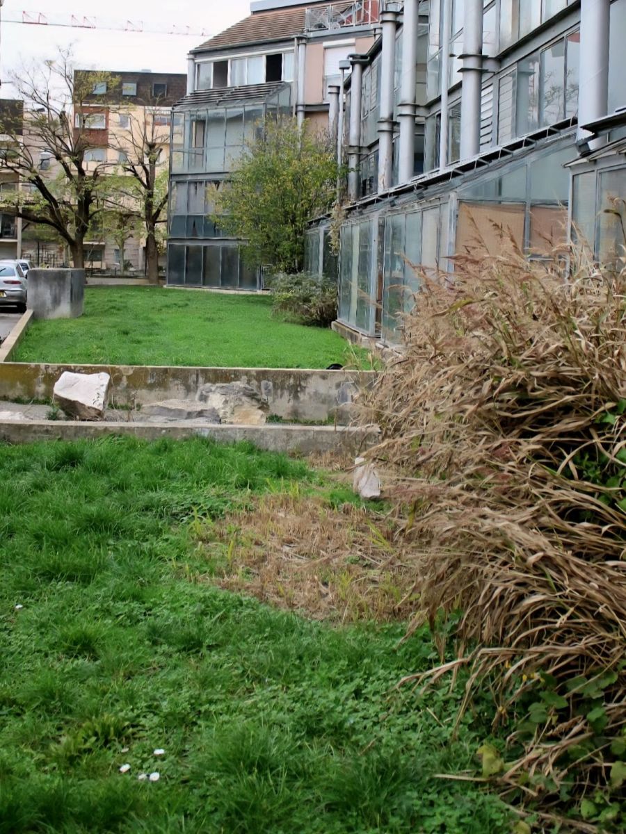 Gérer la phase travaux en préservant la biodiversité - 2