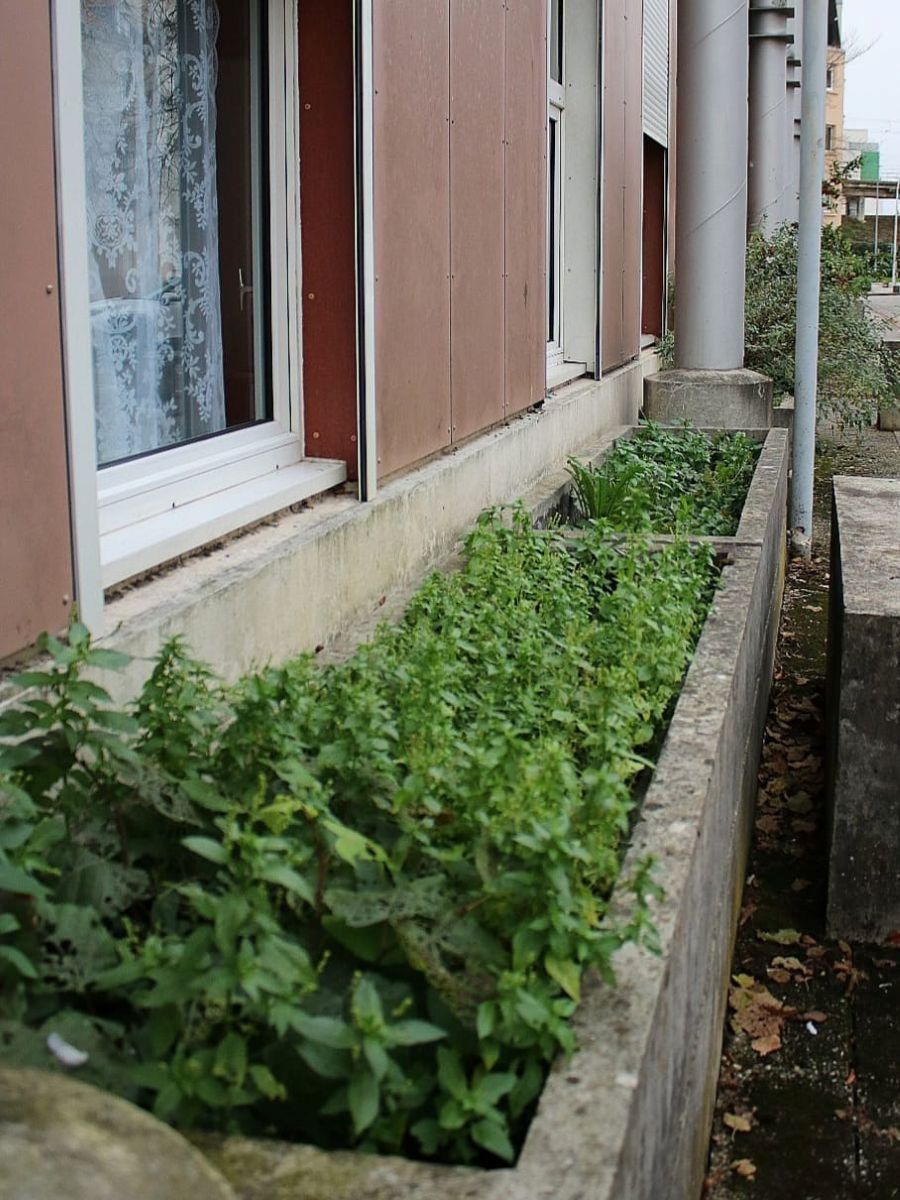 Gérer la phase travaux en préservant la biodiversité - 3