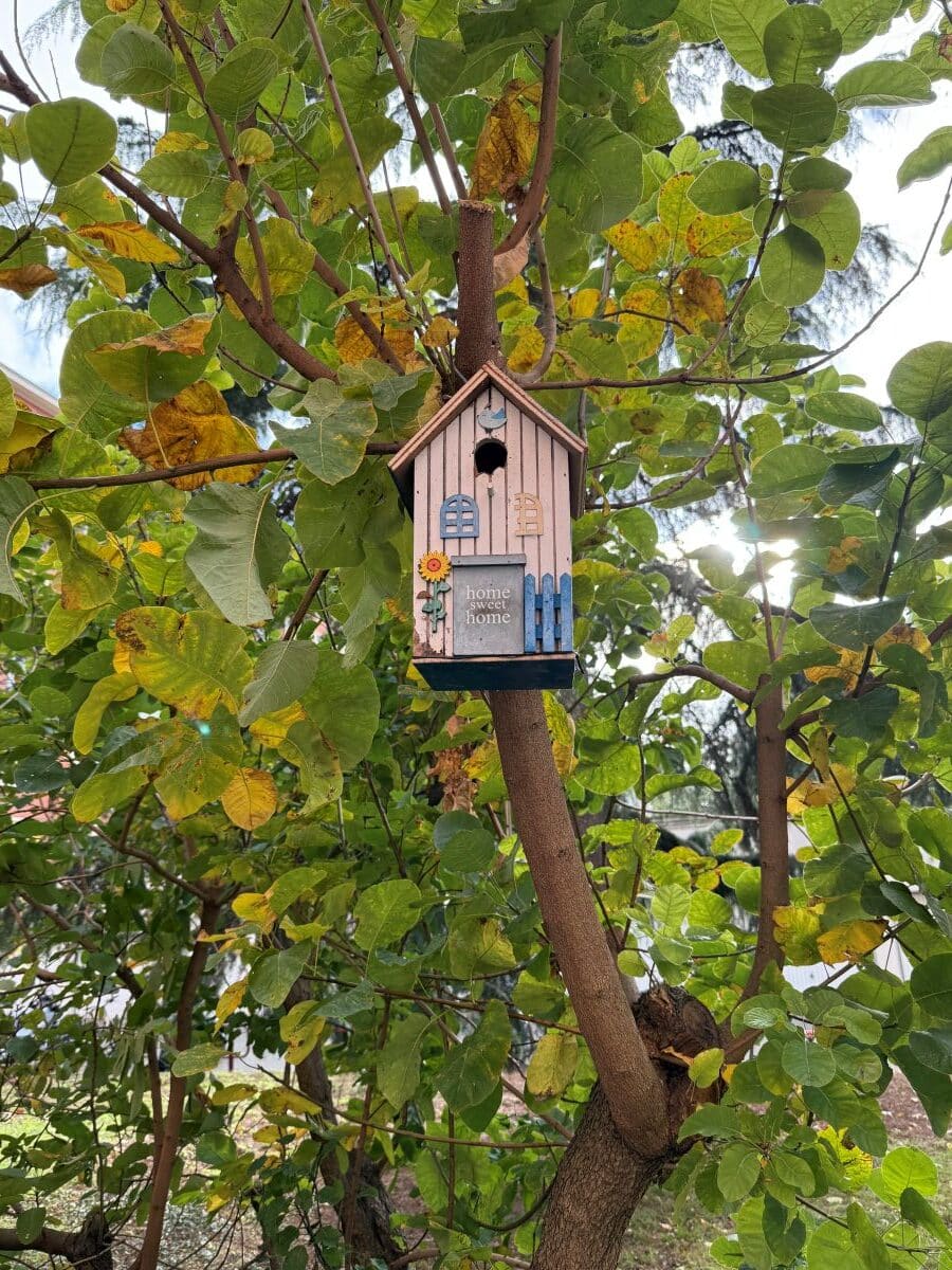 Renaturer pour créer un ilot de fraîcheur et requalifier les extérieurs - 3