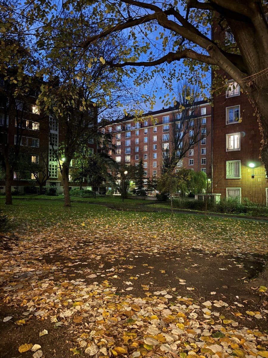 Renaturer pour créer un ilot de fraîcheur et requalifier les extérieurs - 4